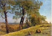 Albert Bierstadt Landscape, Rockland County, California oil painting